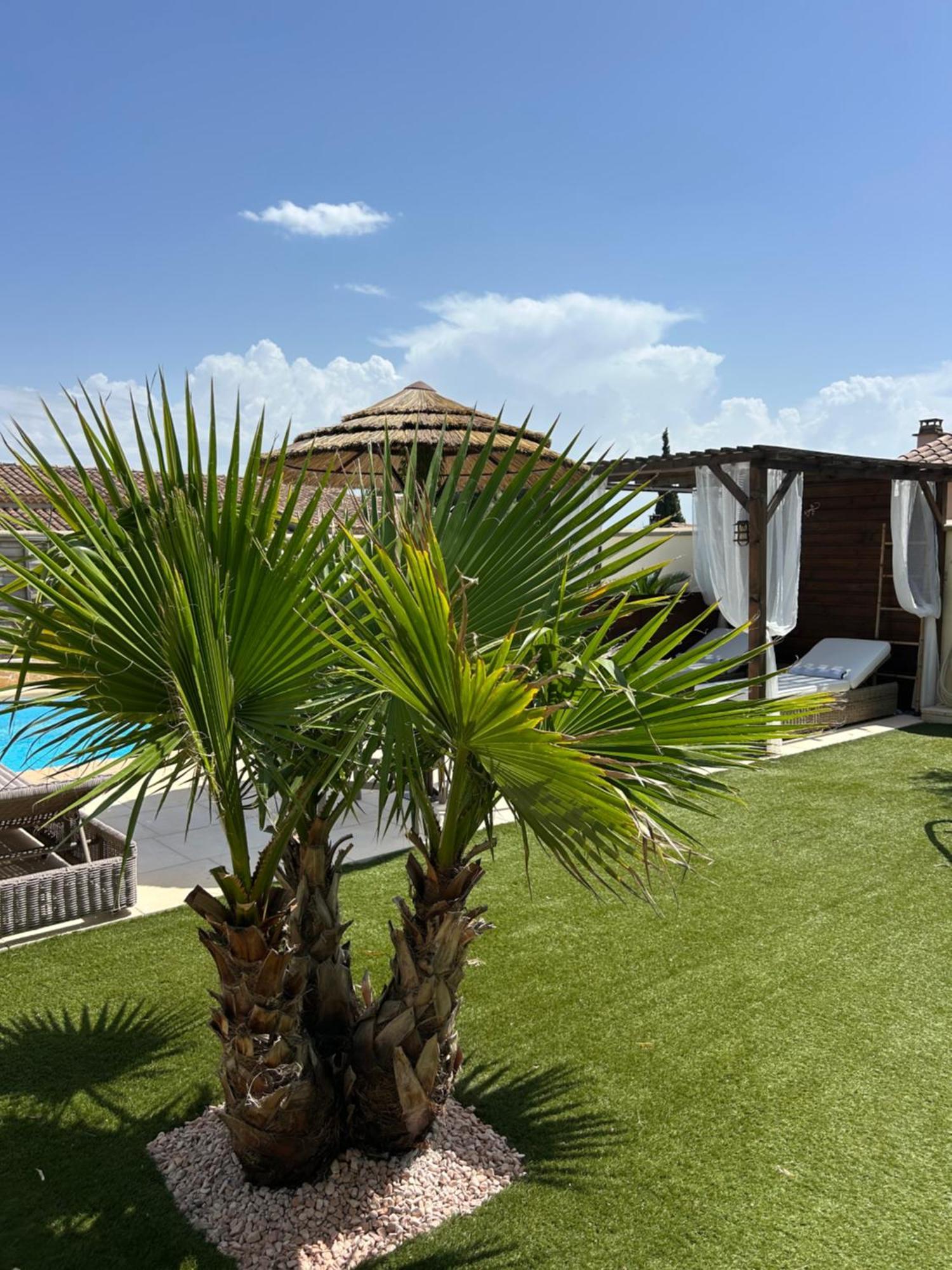Duplex Meublé Avec Vue Sur Piscine *